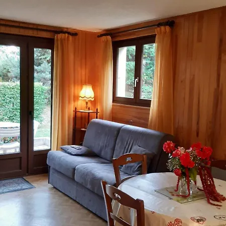 T2 Rez-de-jardin Avec Parking Et Vue Mont Blanc - Fr-1-517-65 Lejlighed Chamonix